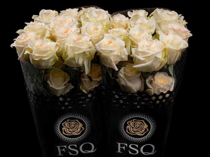 <h4>R GR Candle Light</h4>