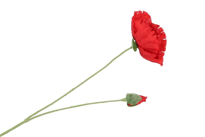 <h4>Silk Poppy 2x Red 70cm</h4>