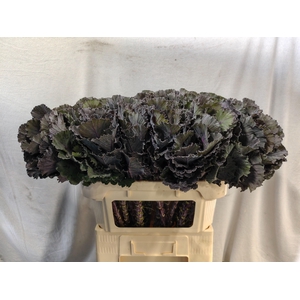 Brass Black Leaf