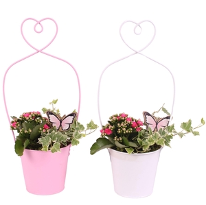 Mothersday Arr. Indoor Zinc Framepot with Heart Ø17cm 2PP