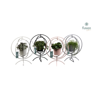 Globe metaal 4 kleuren Large met Groene Planten