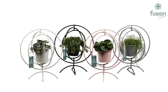 <h4>Globe metaal 4 kleuren Large met Groene Planten</h4>