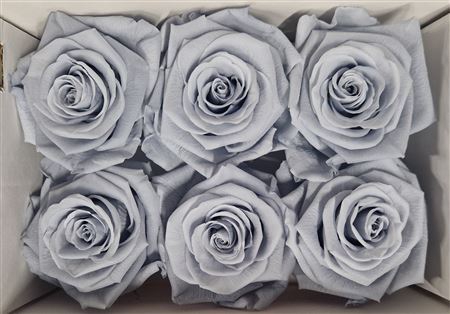 Ro Pres Classic Grey