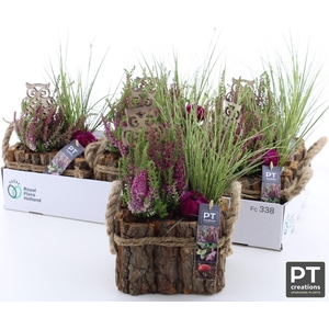 ARR TUINPLANTEN