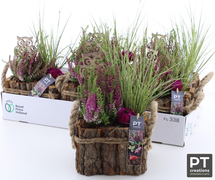 <h4>ARR TUINPLANTEN</h4>