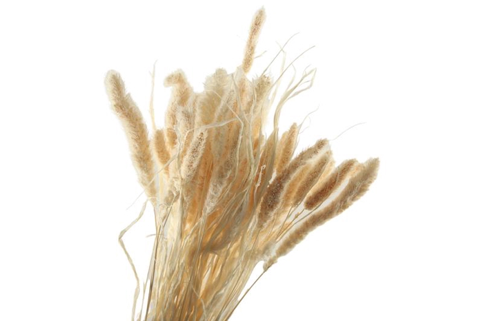 Setarea Pendula White Bleached