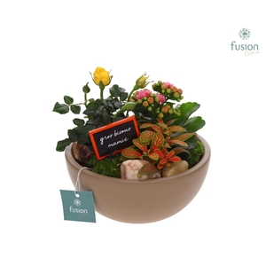 Schaal keramiek Moon Medium beige Grootmoederdag met Arrangement