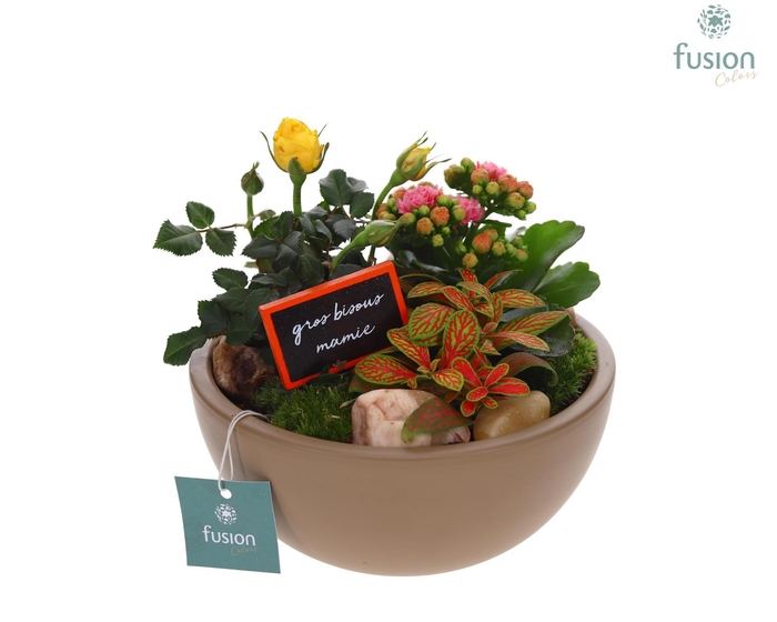 <h4>Schaal keramiek Moon Medium beige Grootmoederdag met Arrangement</h4>