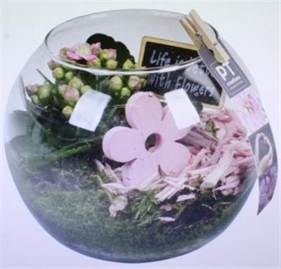 <h4>1479 X3 ROZE BOLGLAASJE</h4>