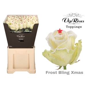 R GR FROST BLING XMAS
