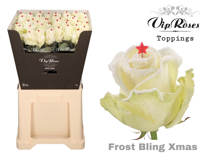 <h4>R GR FROST BLING XMAS</h4>