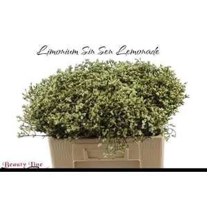 Lim Sin Sen Lemonade