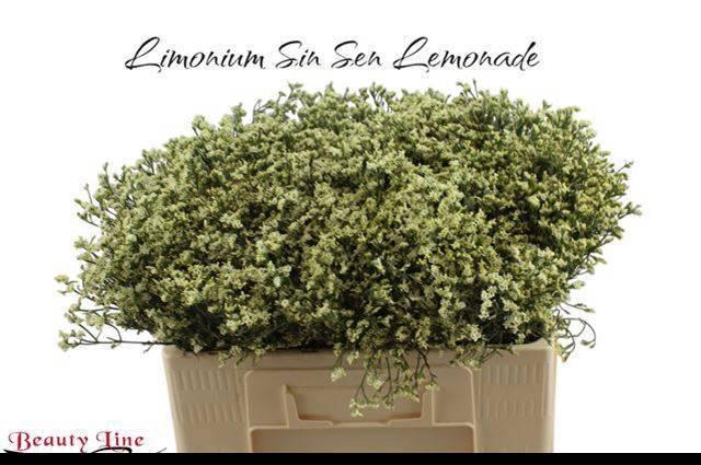 <h4>Lim Sin Sen Lemonade</h4>