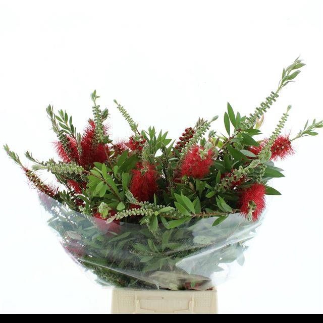 <h4>SNIJBLOEMEN OV BS</h4>