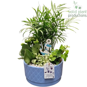 CH003 Loes Blue