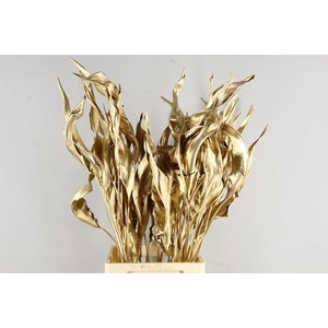 Df Strelitzia Leaf Antiq. Gold