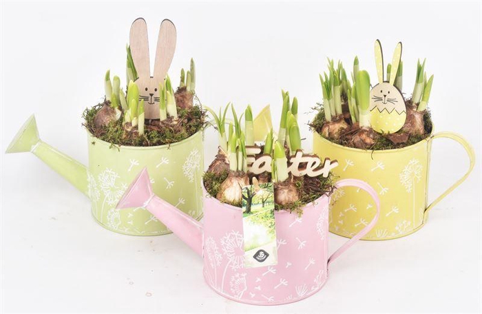 <h4>Zink gieter decor mix 13cm</h4>