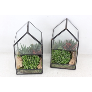 arr3 SN - Terrarium glasshouse