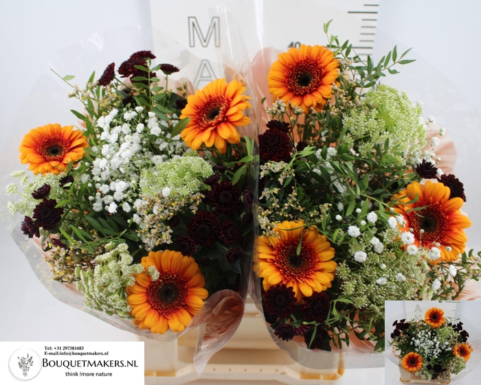 <h4>GEM BOEKET OV</h4>