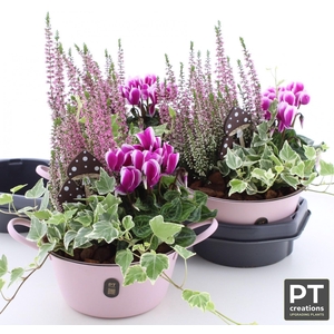 ARR TUINPLANTEN
