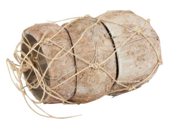 Coconut Peeled 3 Pcs D12