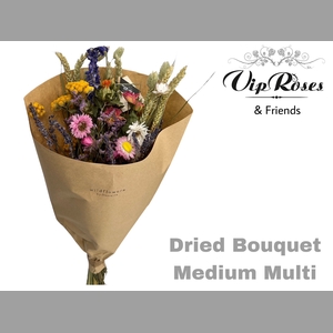 DRIED BOUQUET MEDIUM MULTI x10