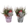 ARR TUINPLANTEN