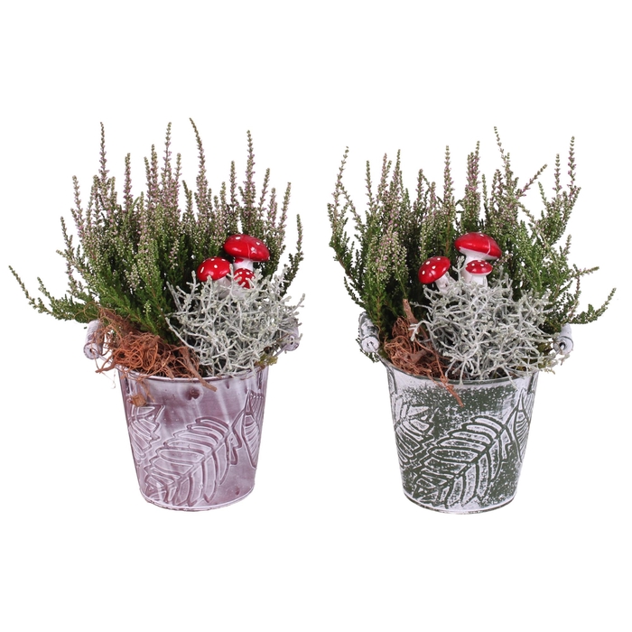 ARR TUINPLANTEN