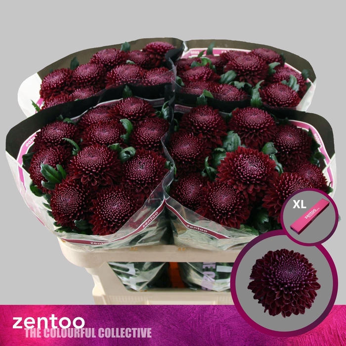 <h4>Chr. G 'Poker'</h4>