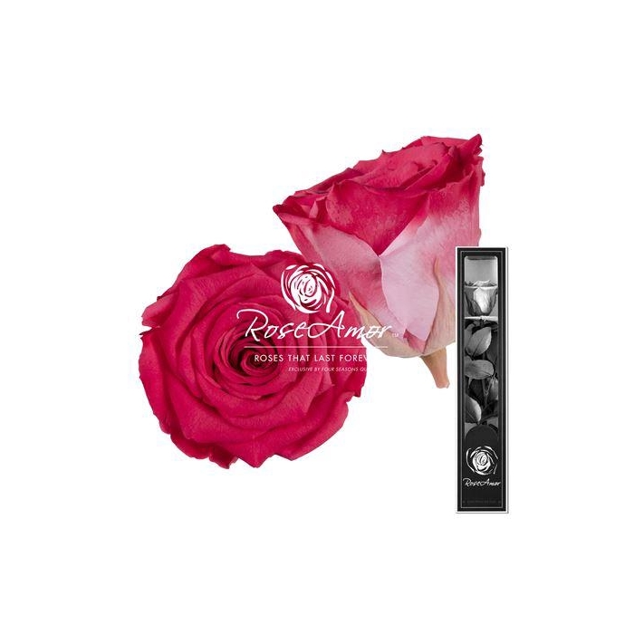 <h4>30cm Stem Bic10</h4>