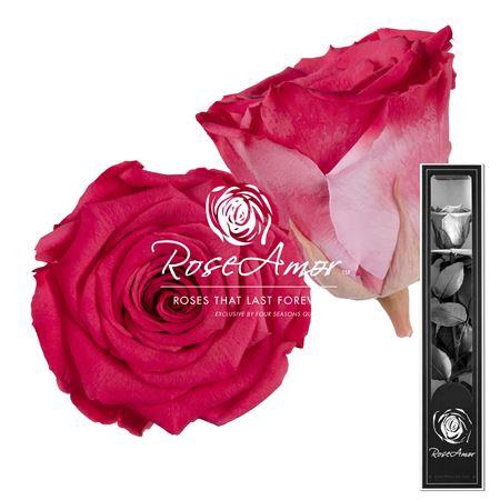 <h4>30cm Stem Bic10</h4>