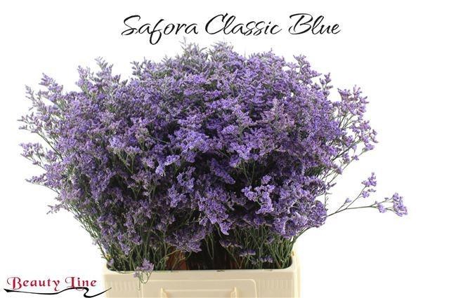 <h4>LIM SAF CLASSIC BLUE</h4>