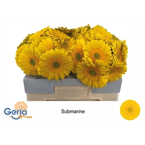 GE GR SUBMARINE