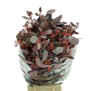 Populus Bes Opgetr. Lang