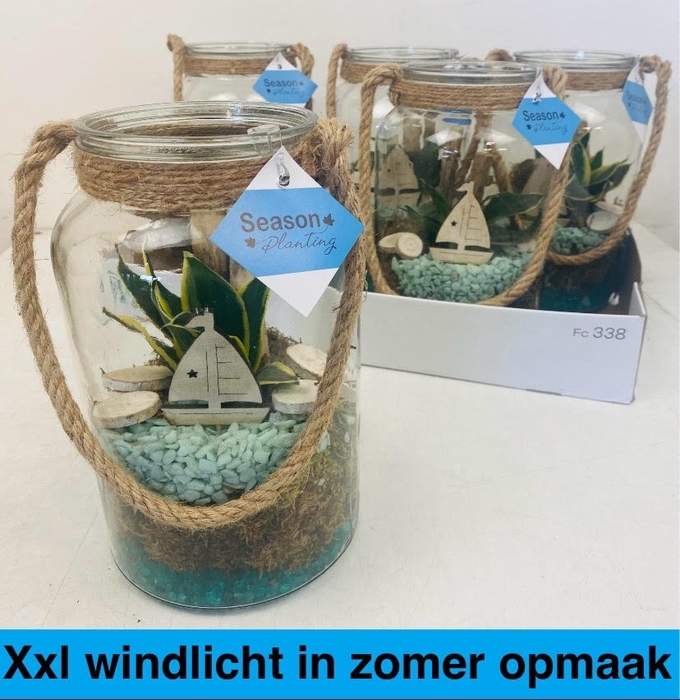 <h4>ARR KAMERPL</h4>