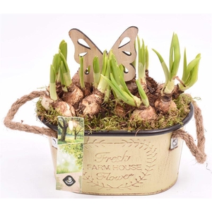 Zink ovaal met touw17x11cm