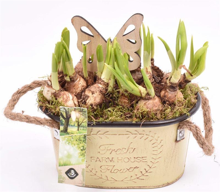 <h4>Zink ovaal met touw17x11cm</h4>