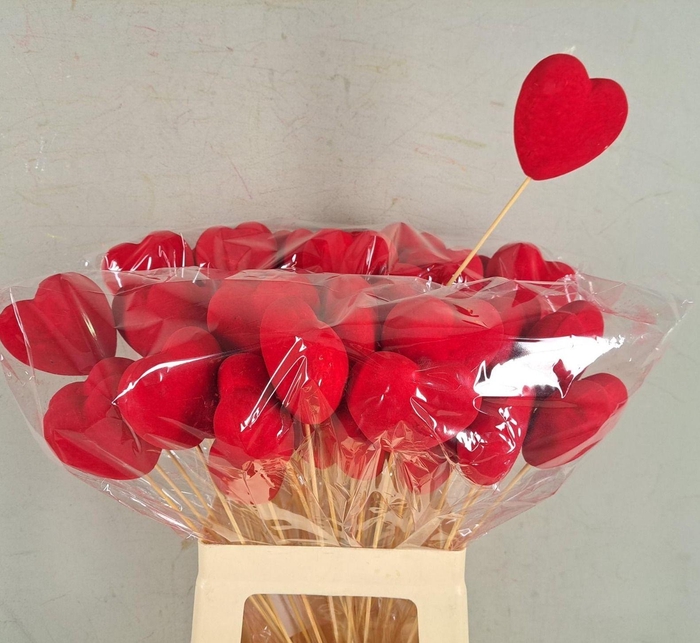 <h4>HARTJE OP STOK H%</h4>