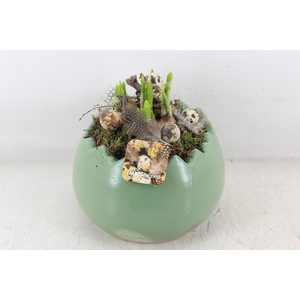 arr4 Narcis MB - Keramiek kartel groen