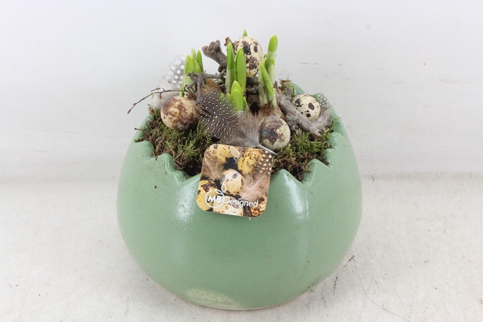 <h4>arr4 Narcis MB - Keramiek kartel groen</h4>