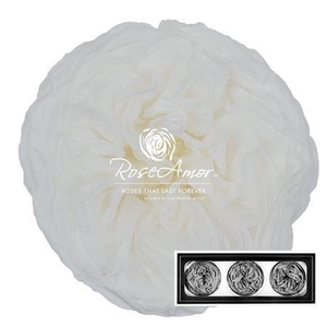 Kabukyza Per 3 Whi01