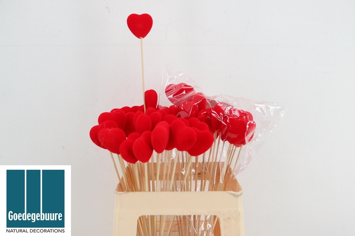 <h4>HARTJE OP STOK H%</h4>