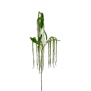 AF Amaranthus sprx3 L130cm gre