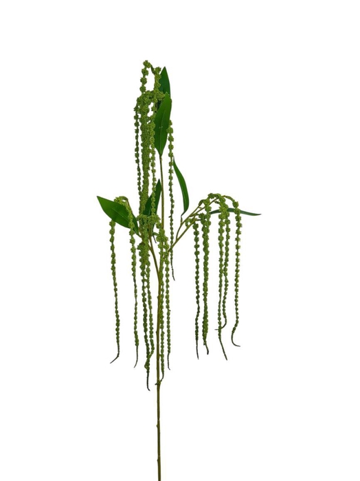 <h4>AF Amaranthus sprx3 L130cm gre</h4>