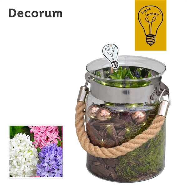 <h4>Arrangementen Hyacinthus 6%</h4>