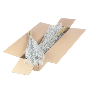 Lepidium Atraxa Sb Silver