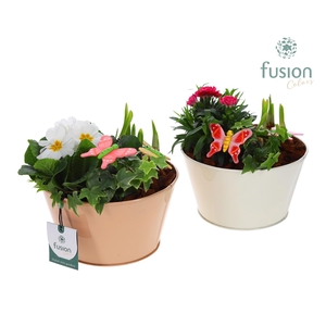 Zink schaal voorjaar div.kleuren met arrangement