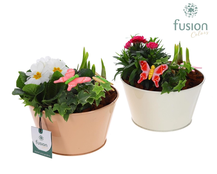 <h4>Schaal zink Voorjaar div. kleuren met arrangement</h4>