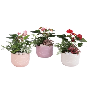 Yearround Arr. Indoor Ceramic Soft Elegance SE660 Ø20cm 3PP