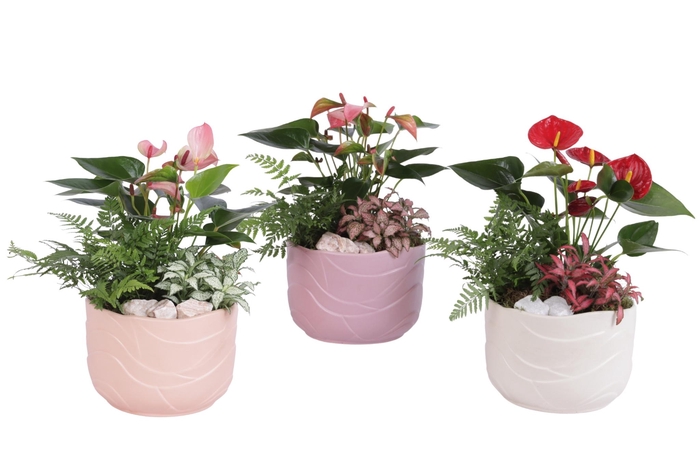 <h4>Yearround Arr. Indoor Ceramic Soft Elegance SE660 Ø20cm 3PP</h4>